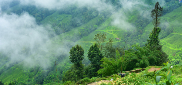 BAGDOGRA