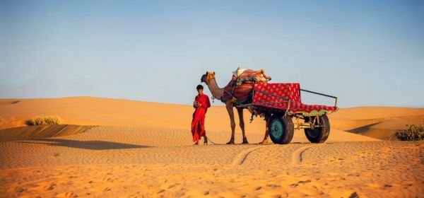 Camel Ride