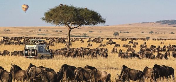maasai mara (2)