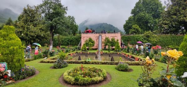 chashme shahi (1)