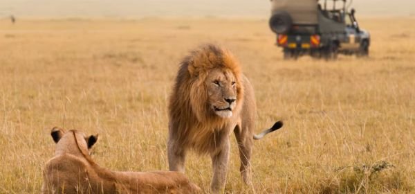 Masai Mara (6)