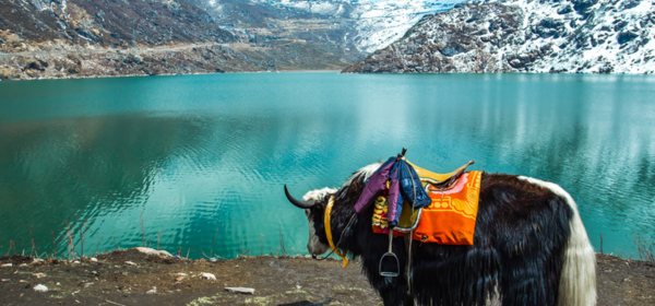 tsomgo lake