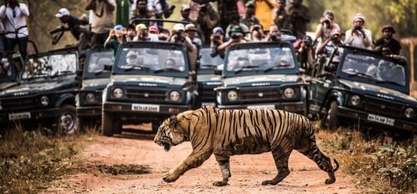 Jim Corbett (1)