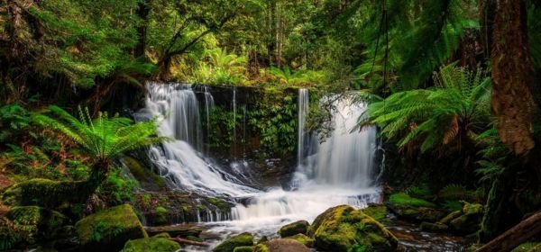 Corbett Waterfalls