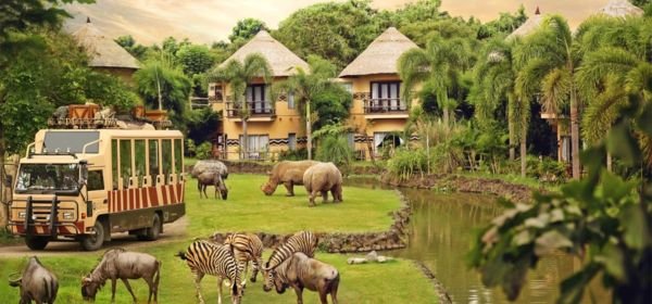 Bali Safari