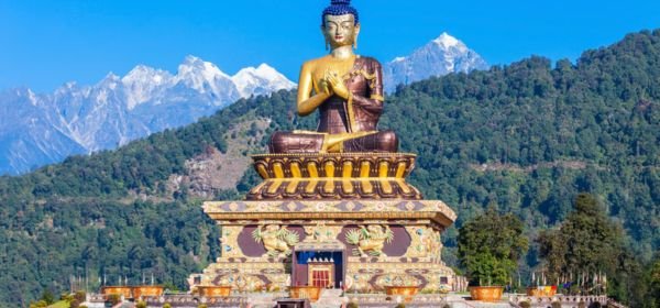 _Pelling