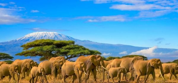 Welcome to tanzania