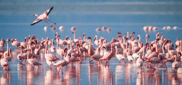 Lake Manyara