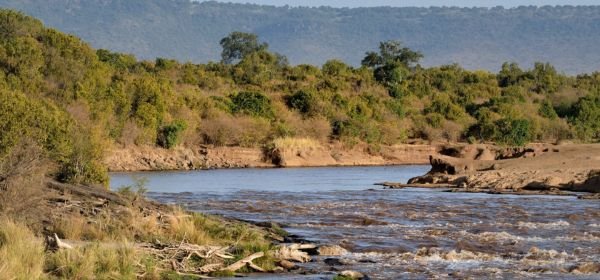 Mara River (2)