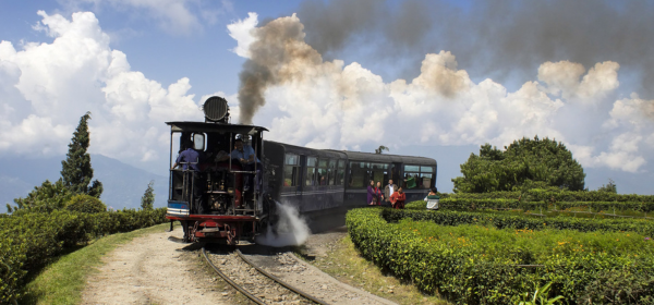 Darjeeling Gallary 1