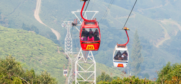 Darjeeling Gallary 3