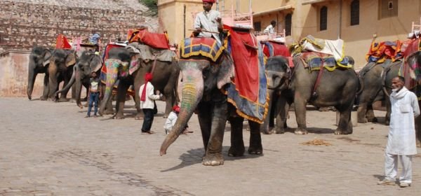 Elephent Ride