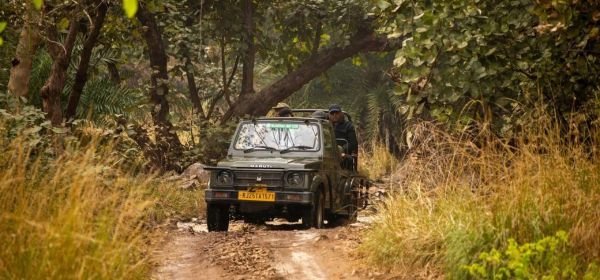 Kumbhalgarh Wild life