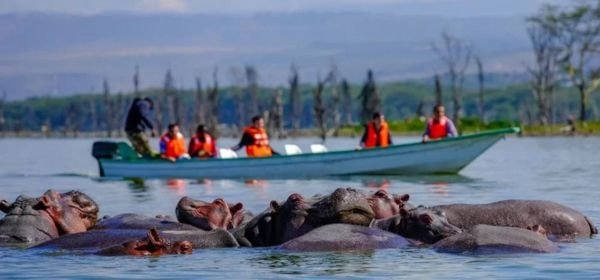 boat ride at lake naivasha