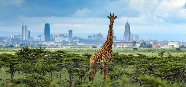 boat ride at lake naivasha (4)