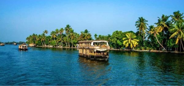 Alleppey Backwaters  (1)