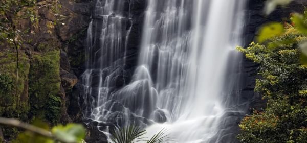 cheeyappara waterfalls