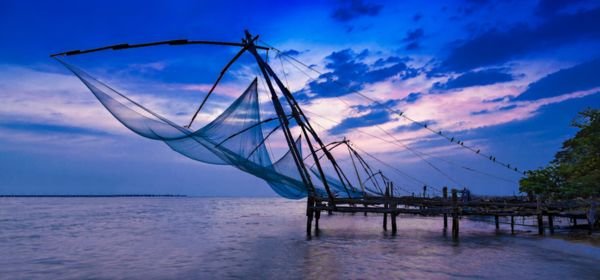 Chinese Fishing Nets