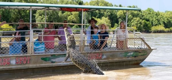 Crocodile sightseeing