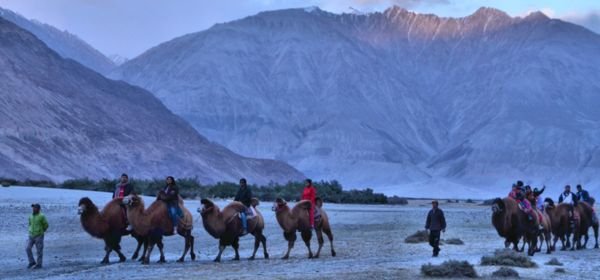 Camel Safari at Hunder