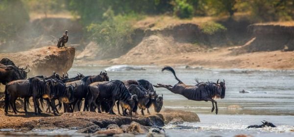 Kenya Holiday Packges  (6)