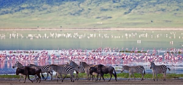 Kenya Holiday Packges  (4)