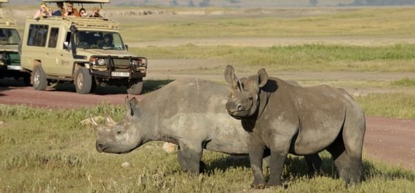 Kenya Holiday Packges  (2)