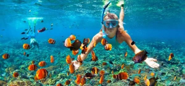 coral reef lakshadweep (1)