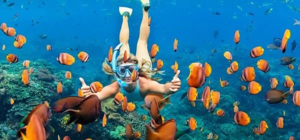 snorkeling at the Crystal Bay