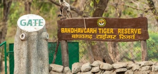 Bandhavgarh National Park  (1)