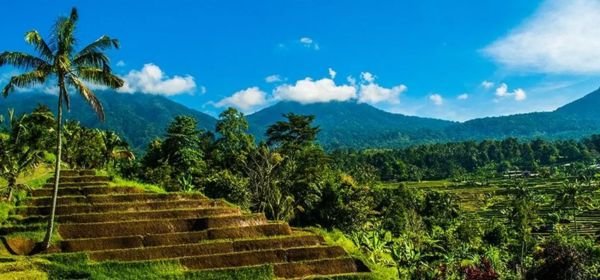 ubud highlights in bali (1)