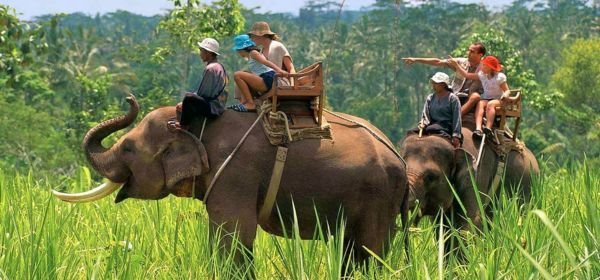 Naini to Corbett Adventure