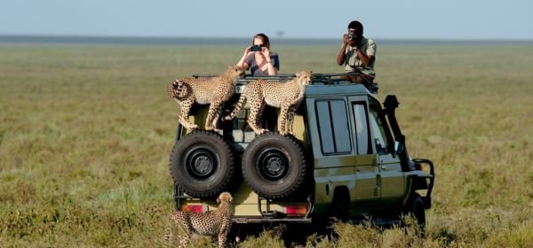 Tadoba jeep safari (1)