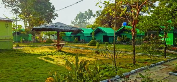 Tadoba jungle adventure