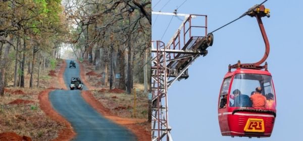 Tadoba national park (4)