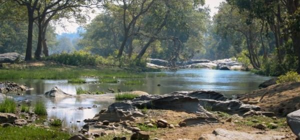 Kanha National Park (3)