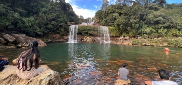 Kaziranga national park (4)