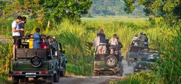 Kaziranga Jeep Safari