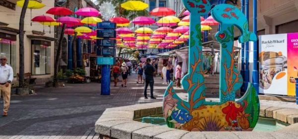 Ile aux Cerfs Day Tour (3)