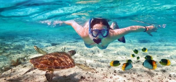 Ile aux Cerfs Day Tour (2)