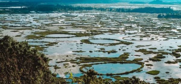 Keibul Lamjao National Park