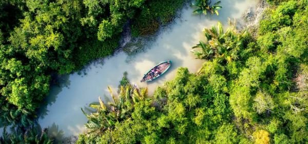 Sundarban holiday packages