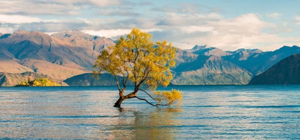 Lake Wanaka