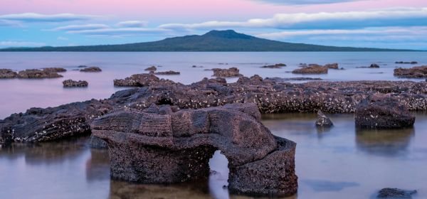 Rangitoto island (1)