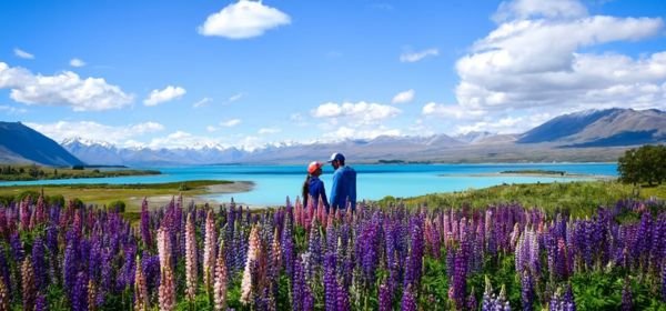 Lake Tekapo (1)