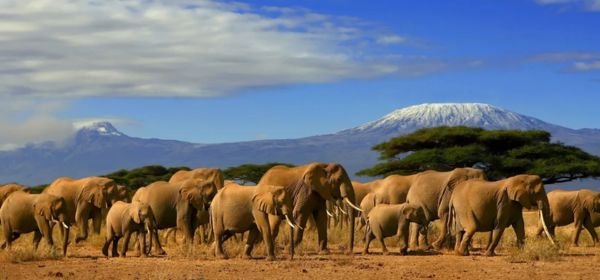 Serengeti National Park