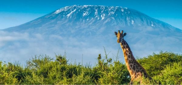 Mount Kilimanjaro