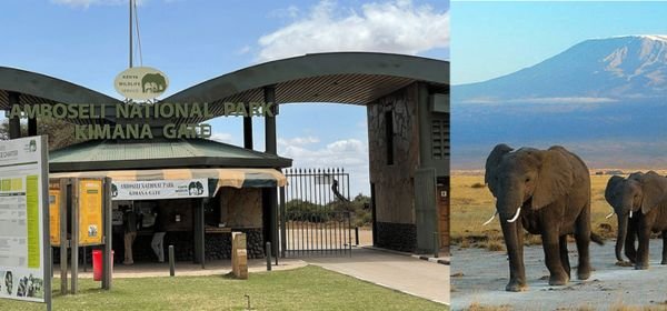 Amboseli national park