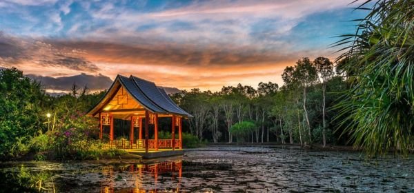 Cairns Botanic Gardens (1)