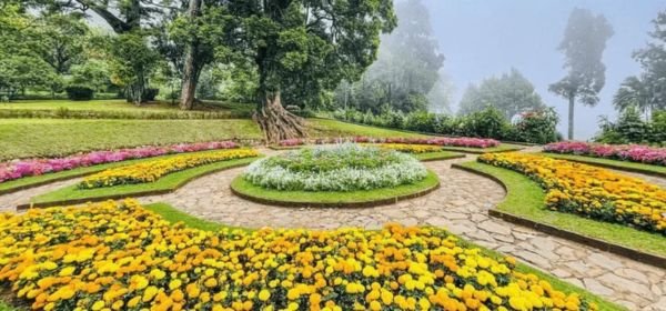 Hakgala Botanical Garden (1)